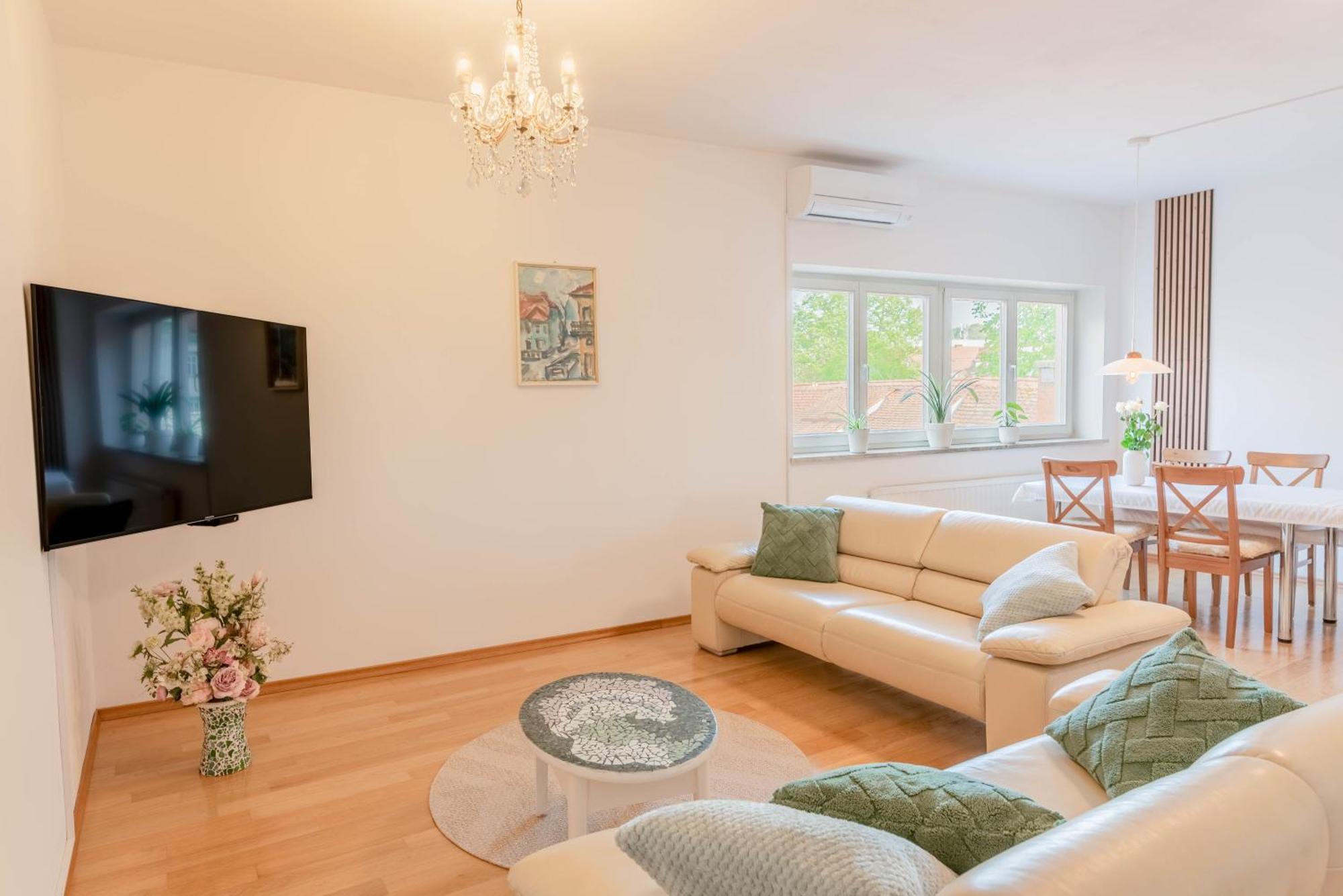 Apartment Trubarjeva 12 - The View