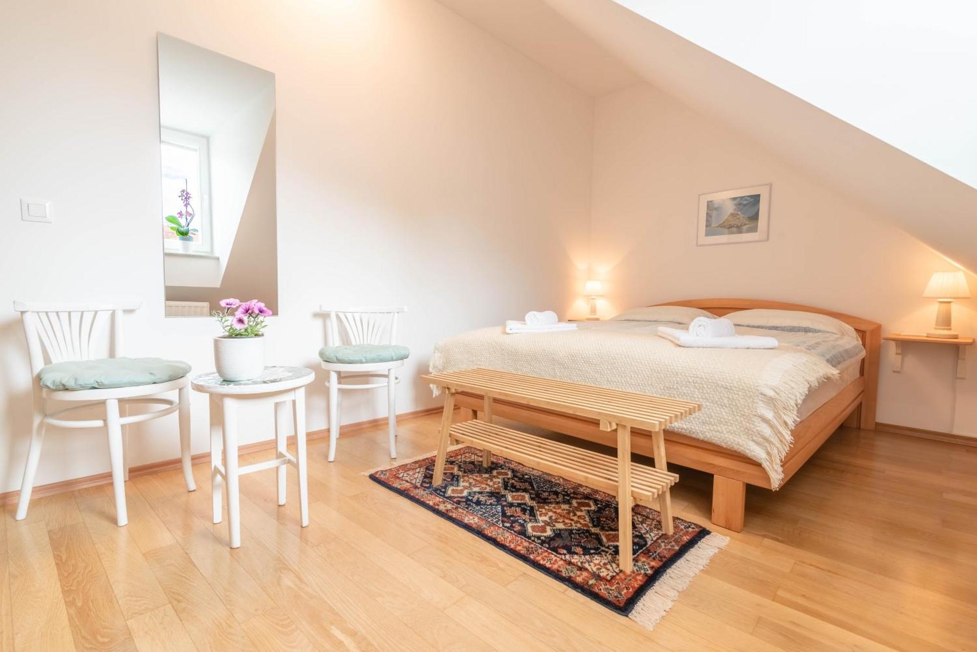 Trubarjeva 12 - The View Apartment