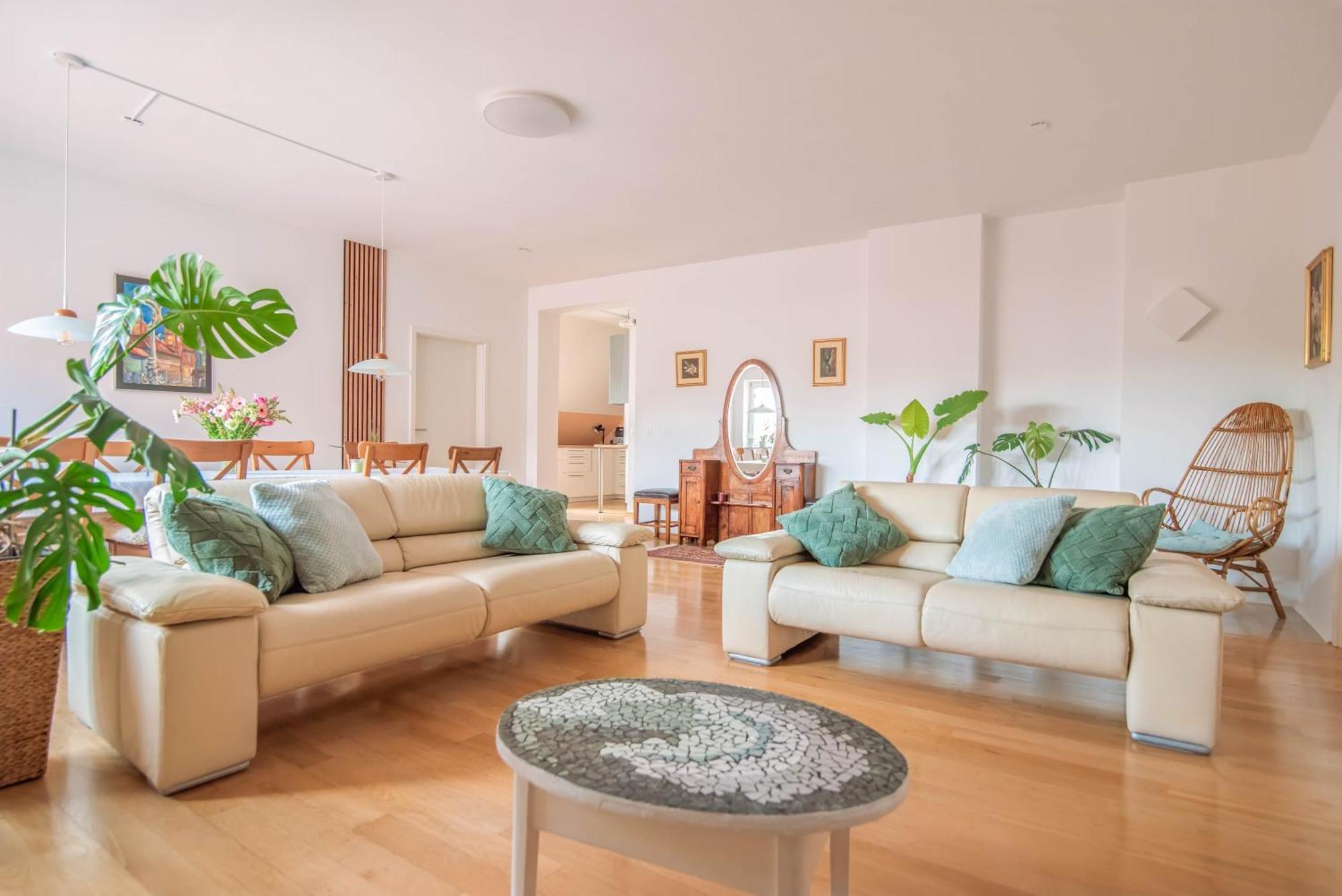 Apartment Trubarjeva 12 - The View *