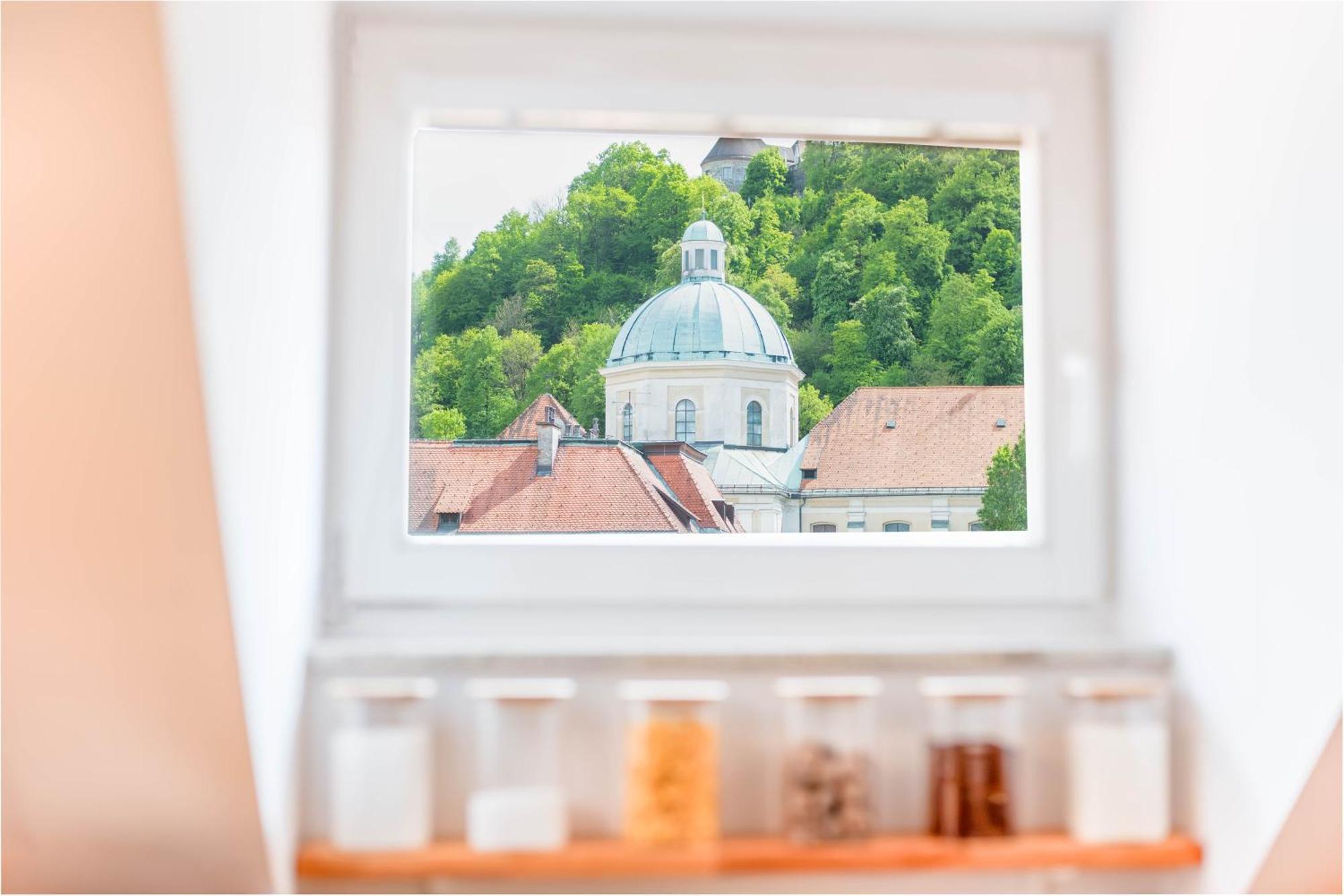 Apartment Trubarjeva 12 - The View